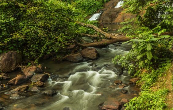 Aruvikkuzhi Waterfalls