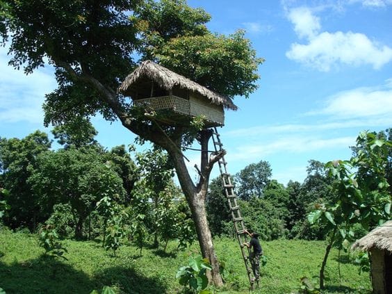 Balpakram National Park