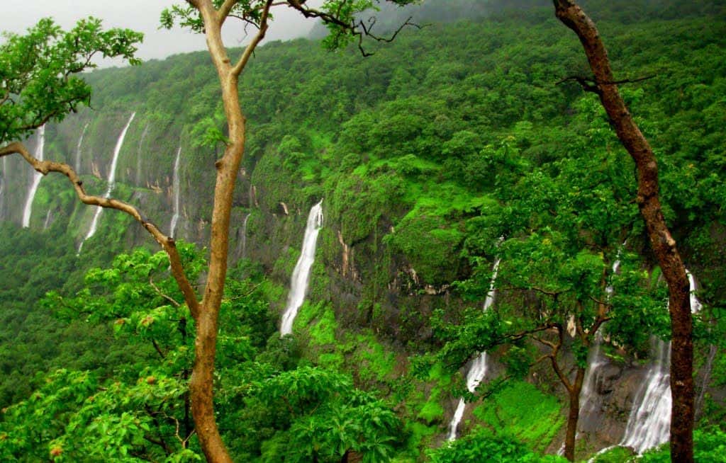 Bhimashanka - places to visit in Bhimashanka