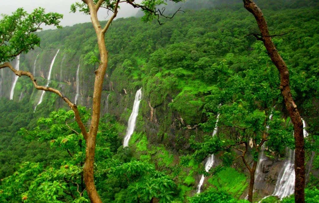 Bhimashanka - places to visit in Bhimashanka
