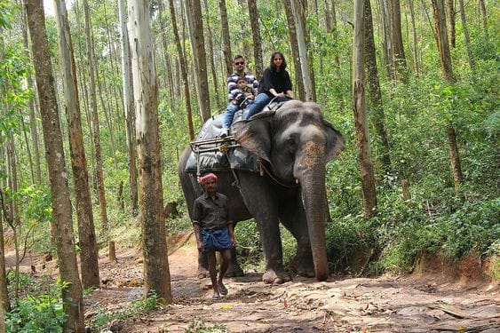 Carmelagiri Elephant Park