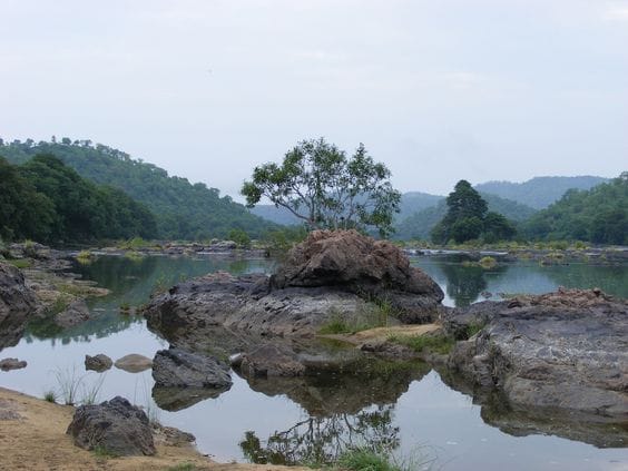 Cauvery River