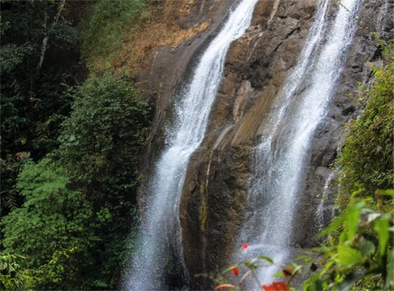 Chelvara Falls