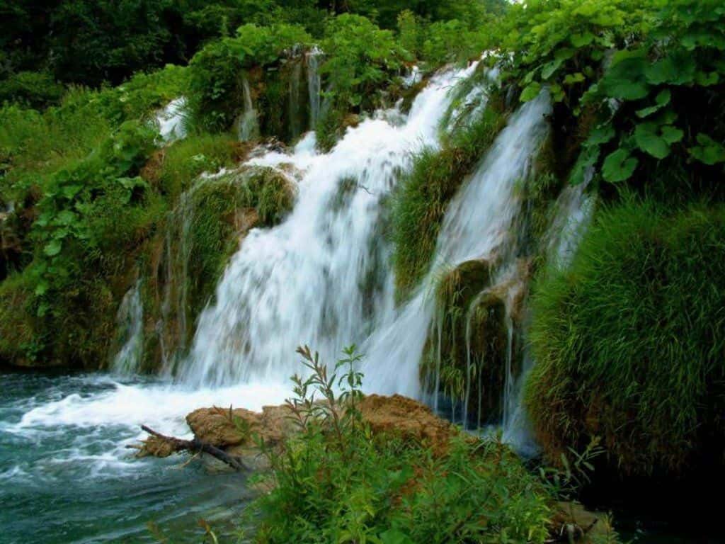 Chikhaldara - places to visit in Chikhaldara