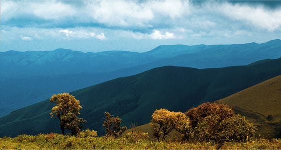 Chikmagalur Hills