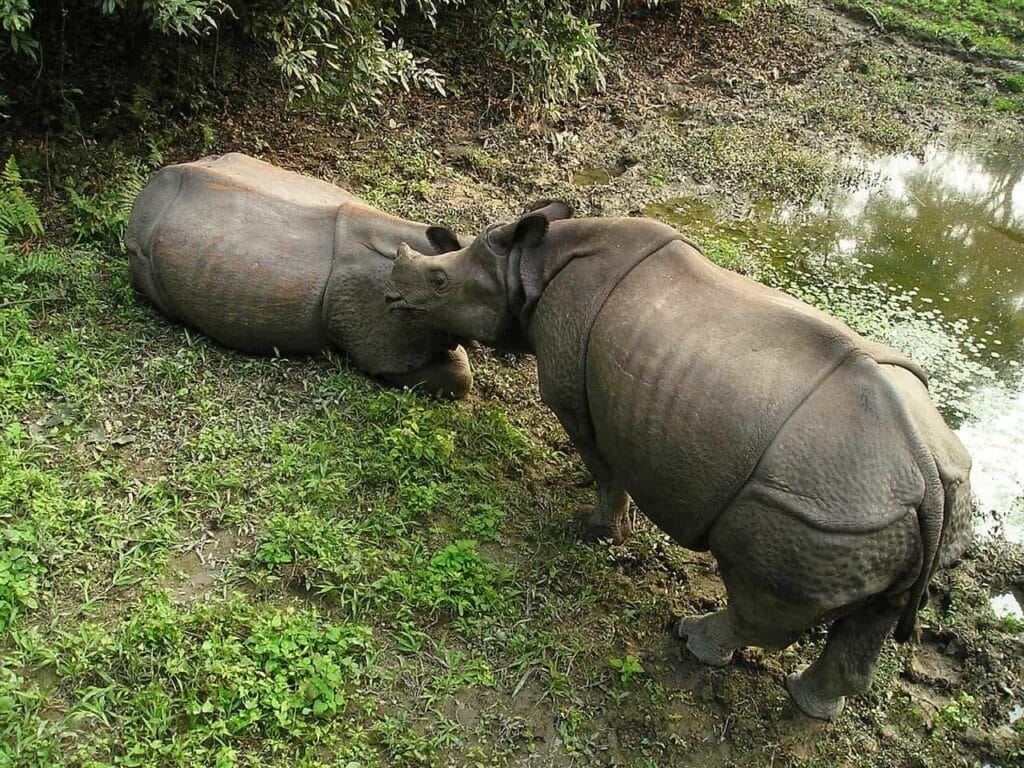 Chitwan National Park - places to visit in Chitwan National Park