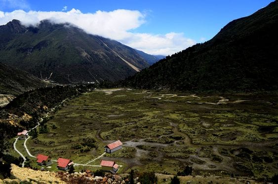 Chopta Valley