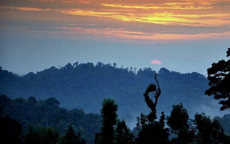 Coorg - places, sights, best time to visit