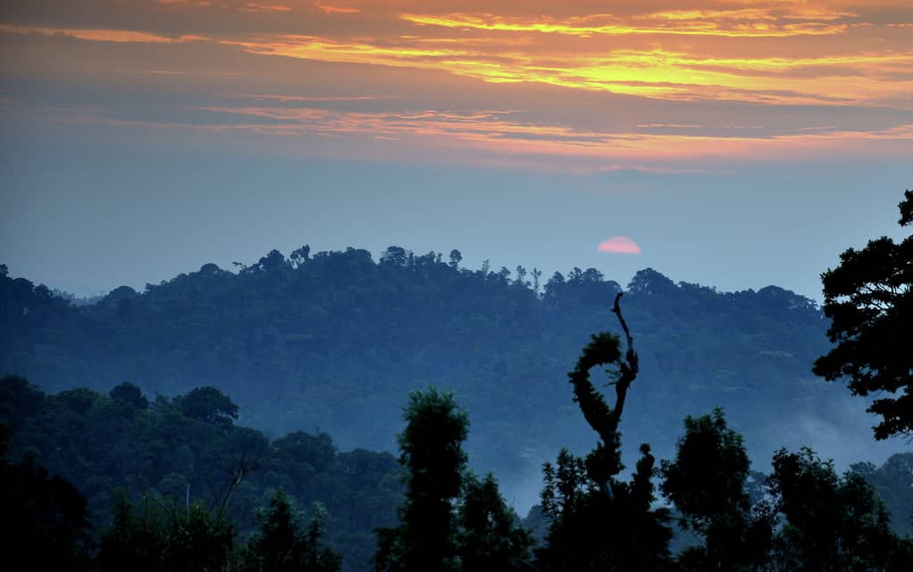 Coorg - places, sights, best time to visit