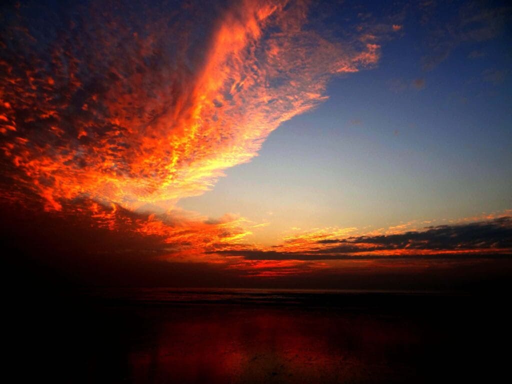 Dahanu - Best places to visit in Dahanu