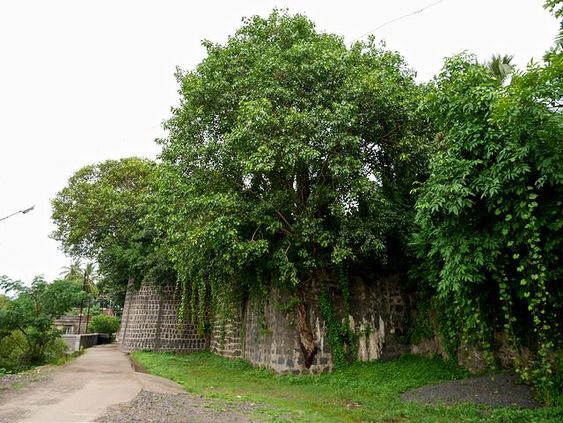 Dahanu Fort