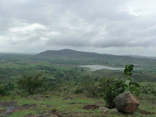 Dandoba Hill Forest Preserve