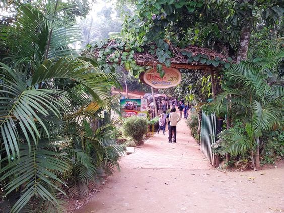 Dream Land Spices Park