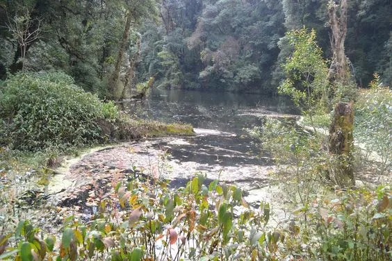 Dzudu Lake