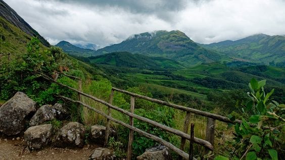 Eravikulam National Park