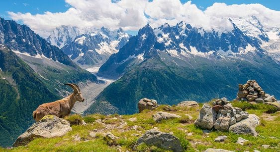Haute Route