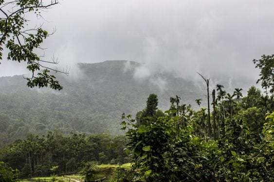 Horanadu