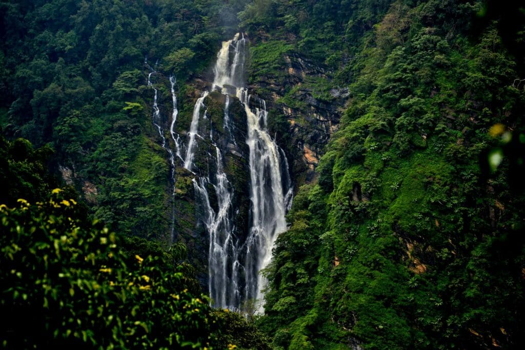 Shimoga - places, sights, best time to visit in 2025