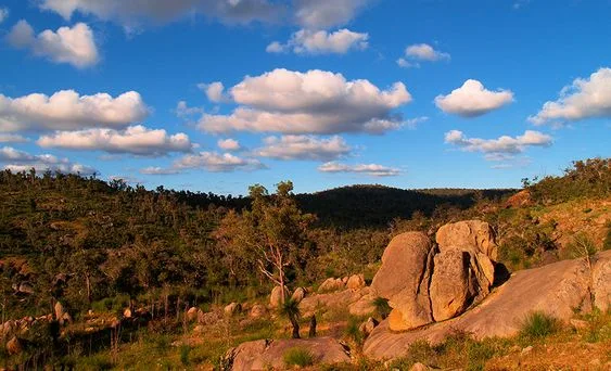 John Forrest National Park