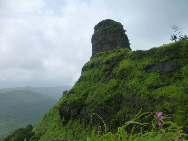 Karnala - places to visit in Karnala