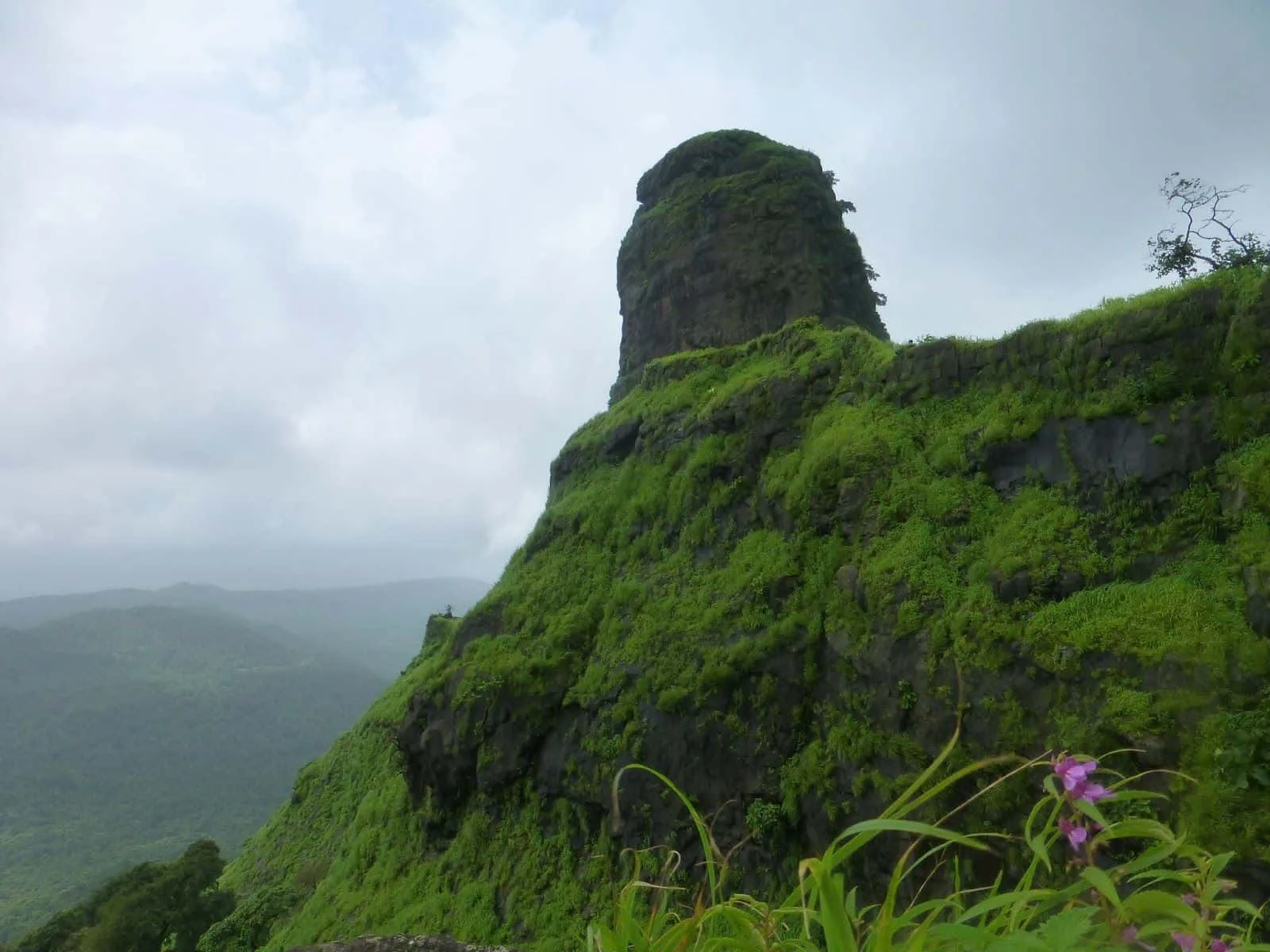 Karnala - places to visit in Karnala