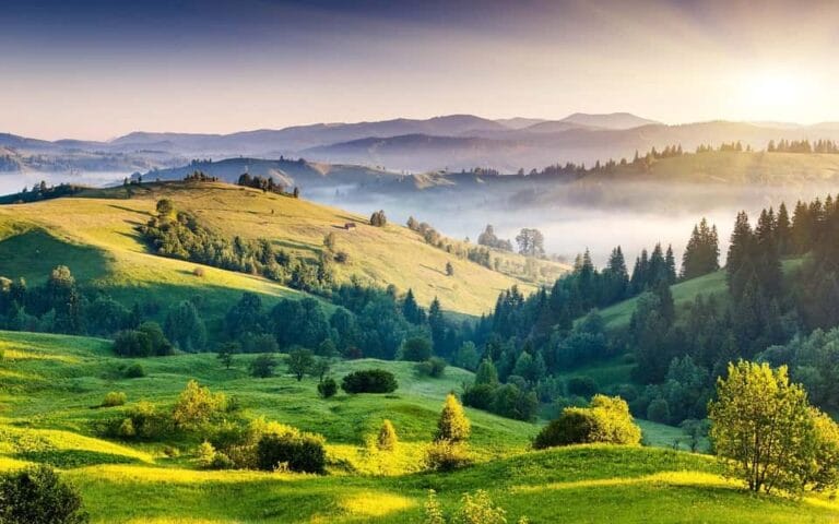 Kodaikanal - places to visit in Kodaikanal