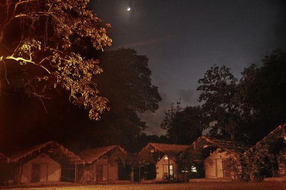 Kulgi Nature Camp