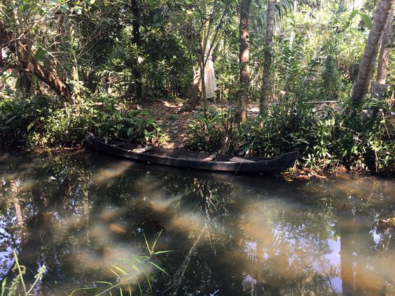 Kumarakom Bird Sanctuary