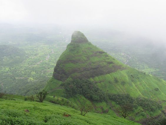 Lion’s Point