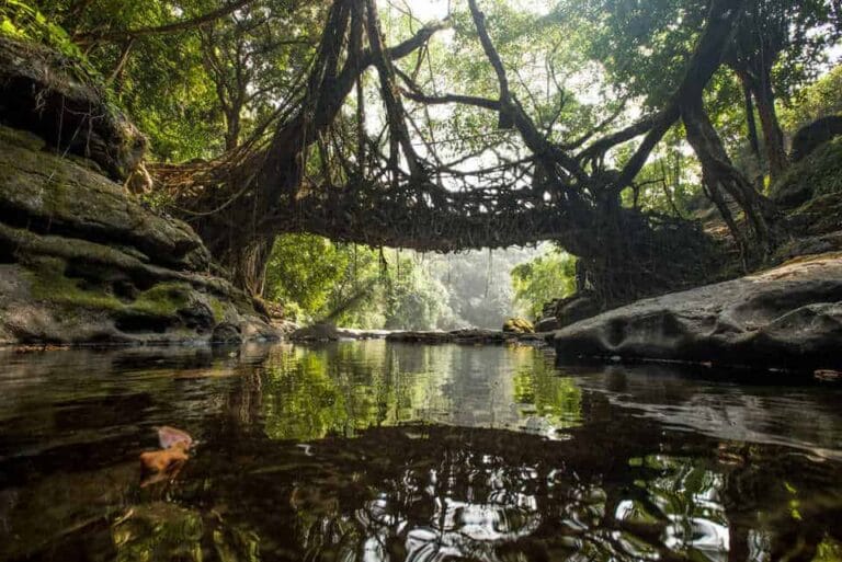 Mawlynnong - places to visit in Mawlynnong