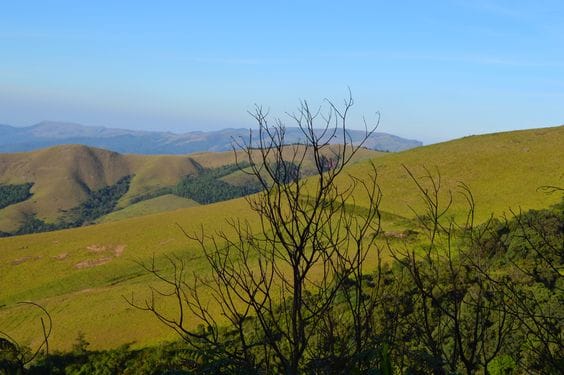 Mullayanagiri