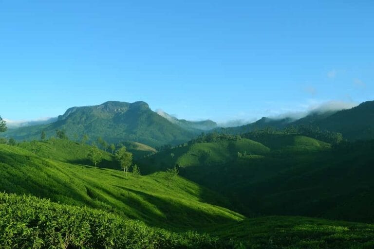 Munnar - places to visit in Munnar