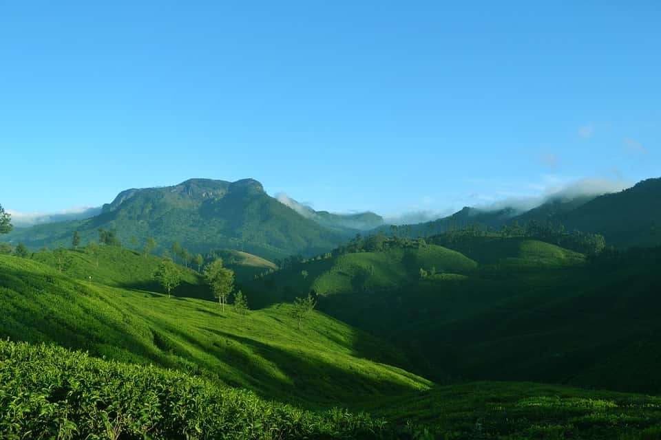 Munnar - places to visit in Munnar