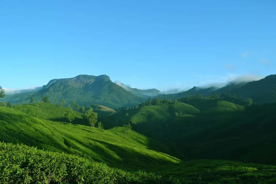 Munnar - places to visit in Munnar