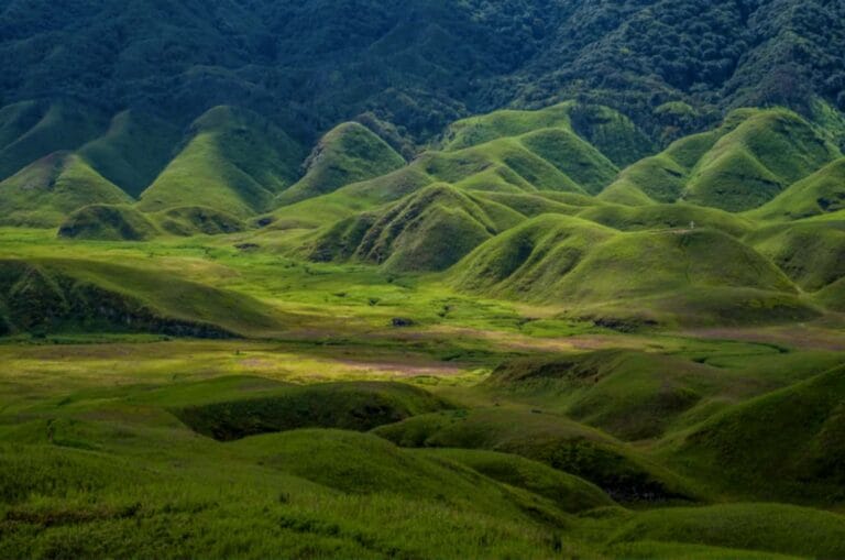 Nagaland - places to visit in Nagaland