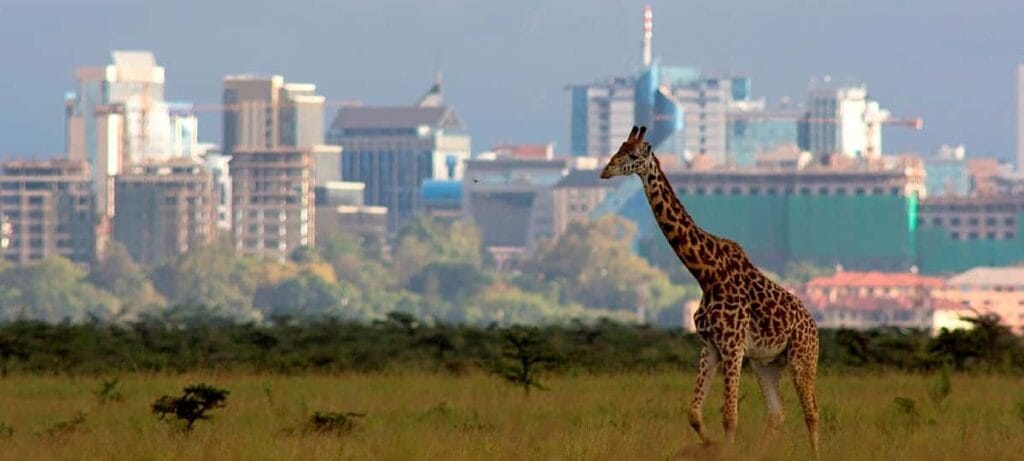 Nairobi - Places to visit in Nairobi