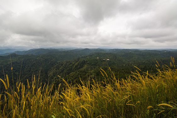 Neelimala View Point
