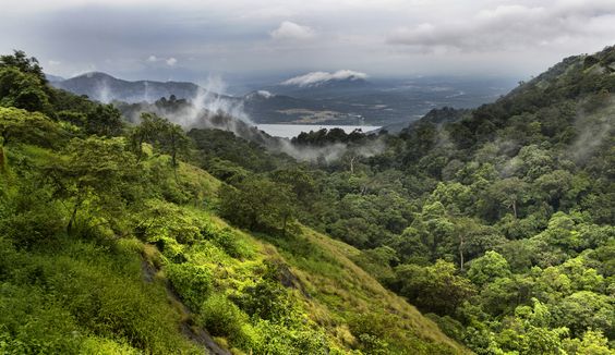 Nelliyampathy Hills
