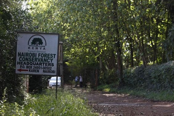 Ngong Forest