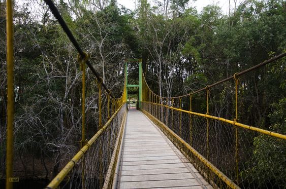 Nisargadhama