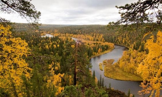 Oulanka National Park