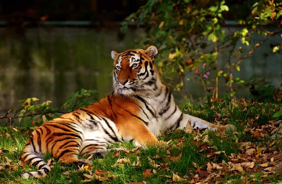Sahibganj - places, sights, best time to visit