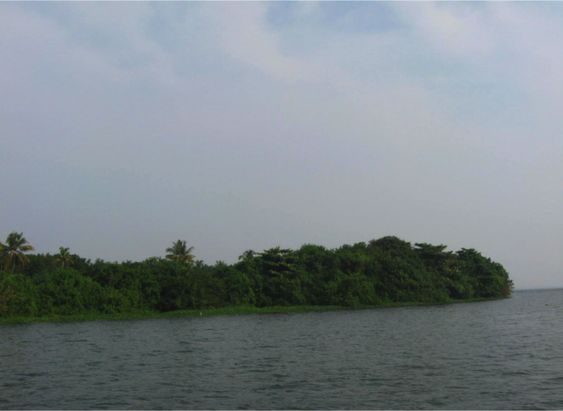 Pathiramanal Island