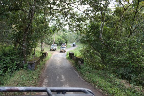 Periyar Tiger Trail
