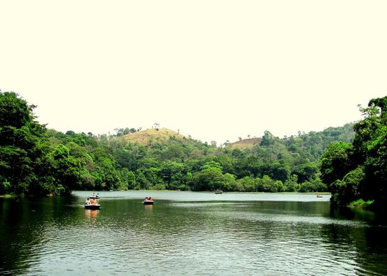 Pookode Lake