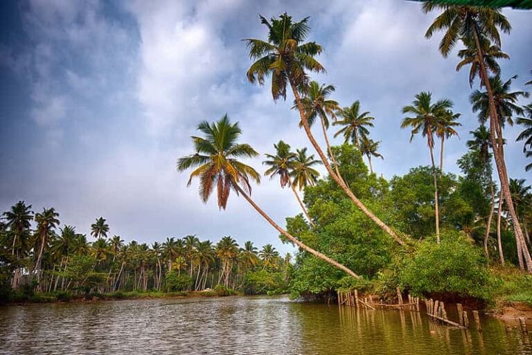 Poovar - places to visit in Poovar