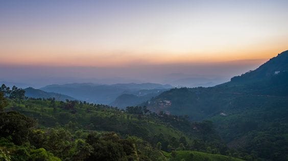 Pothamedu View Point