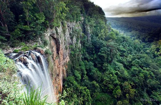 Purling Brook Falls