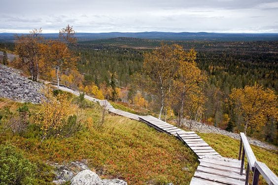 Pyhä-Luosto National Park