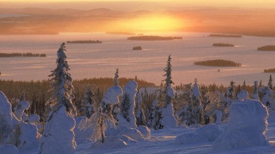 Riisitunturi National Park